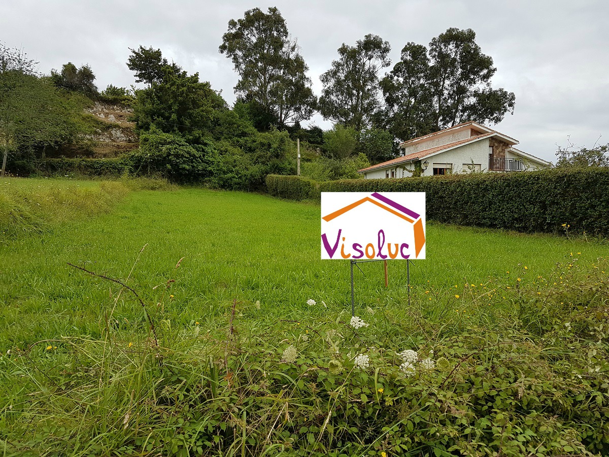 PARCELA en la ALCAYNA